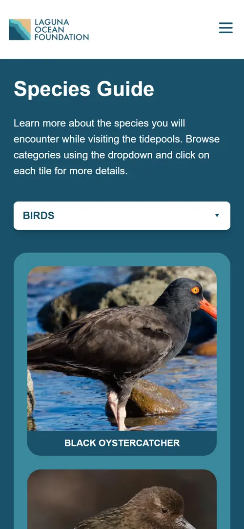 Laguna Ocean Foundation species guide page