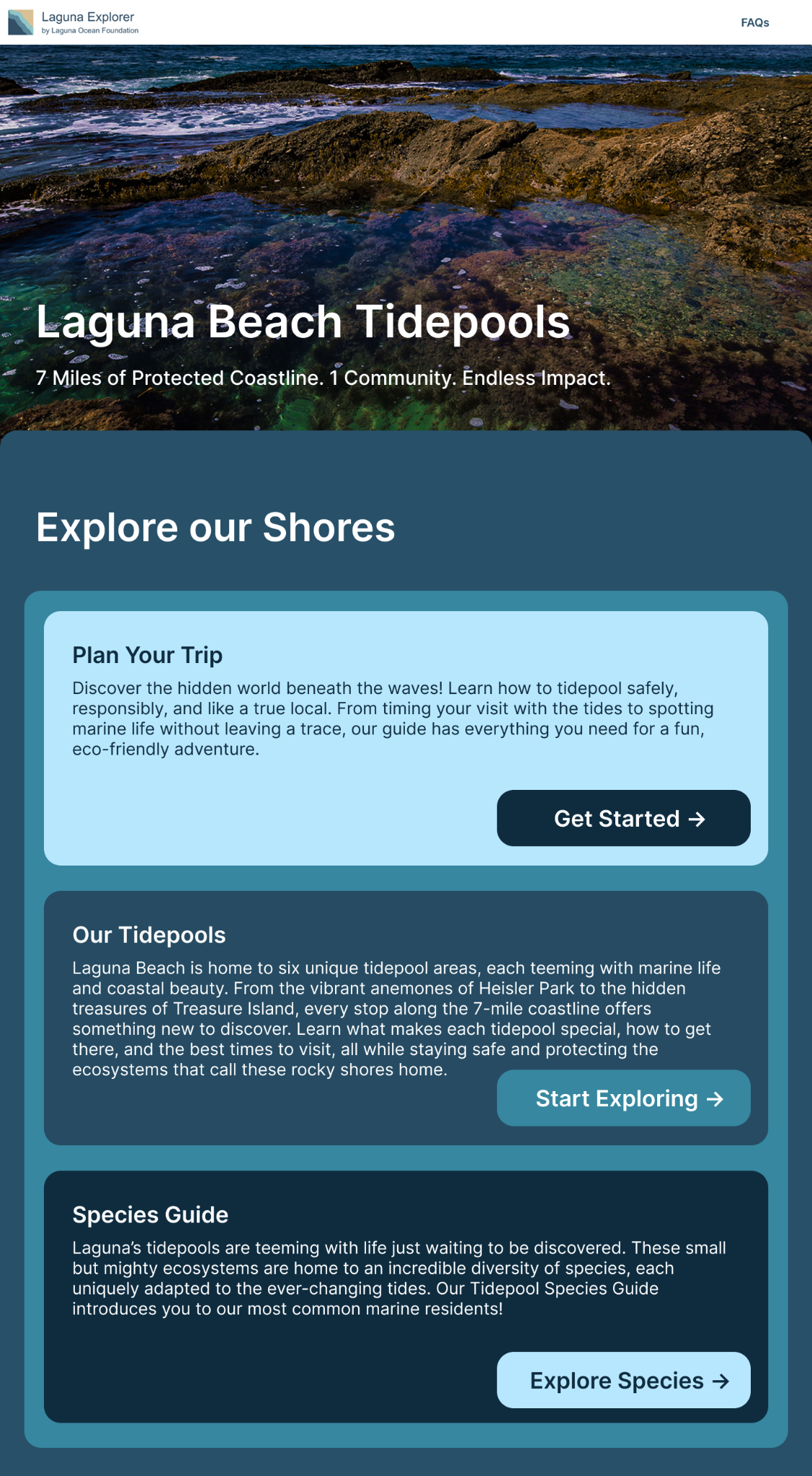 Homepage high fidelity mobile draft