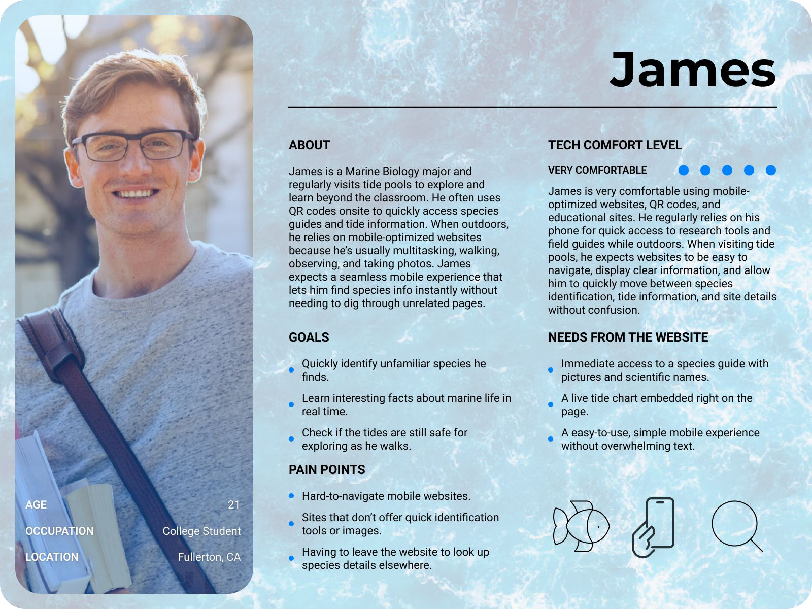 James user persona