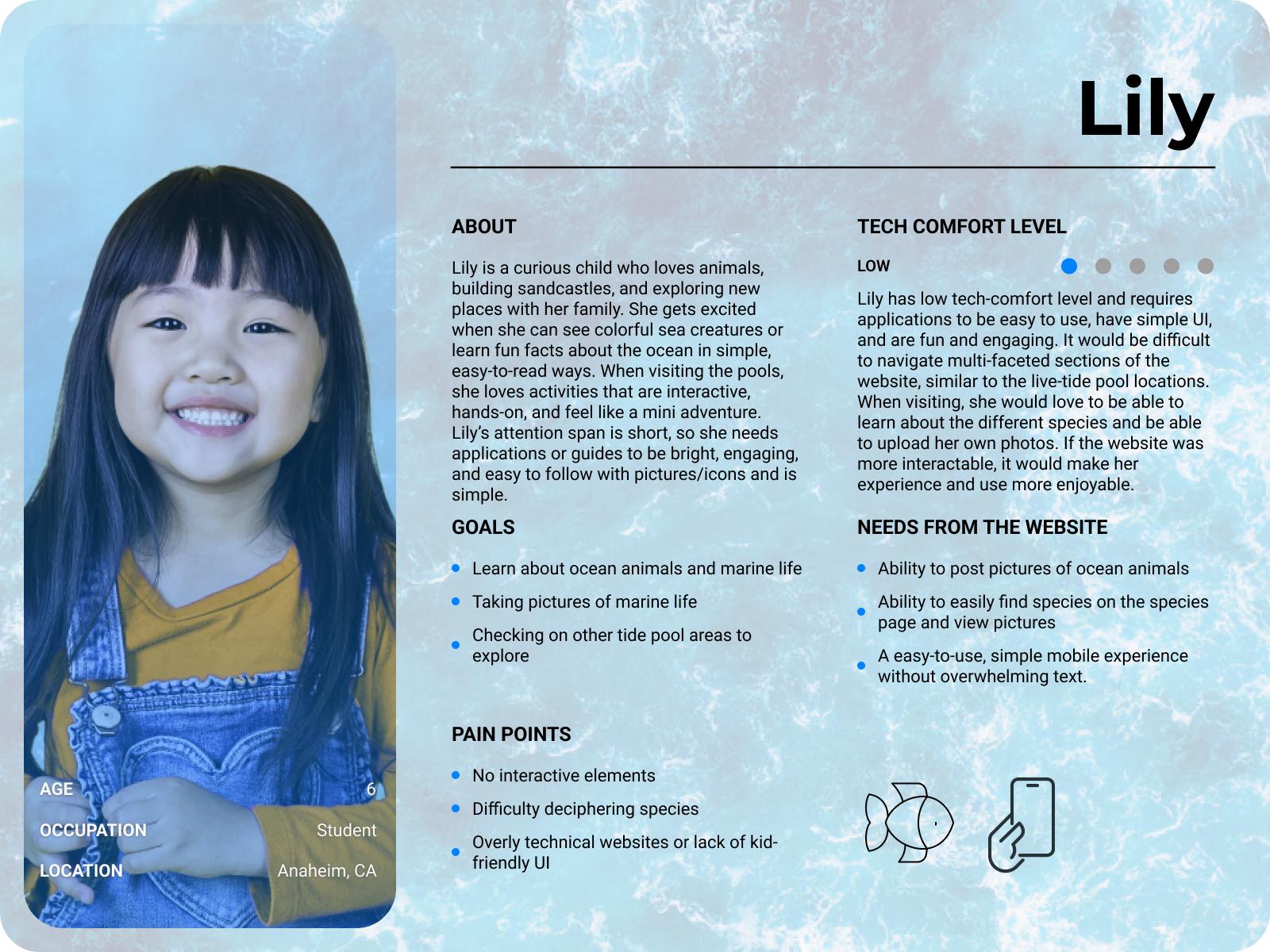 Lily user persona