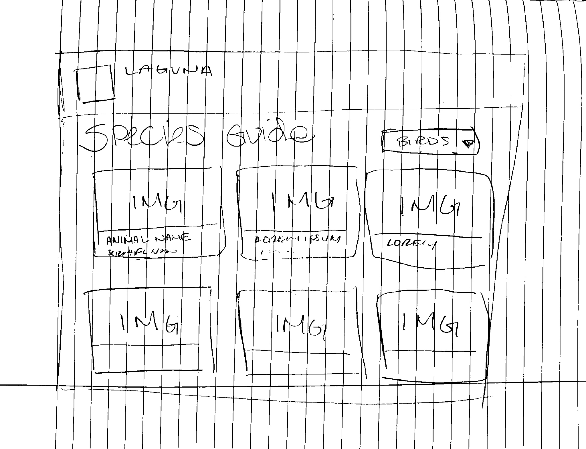 Low fidelity species guide wireframe