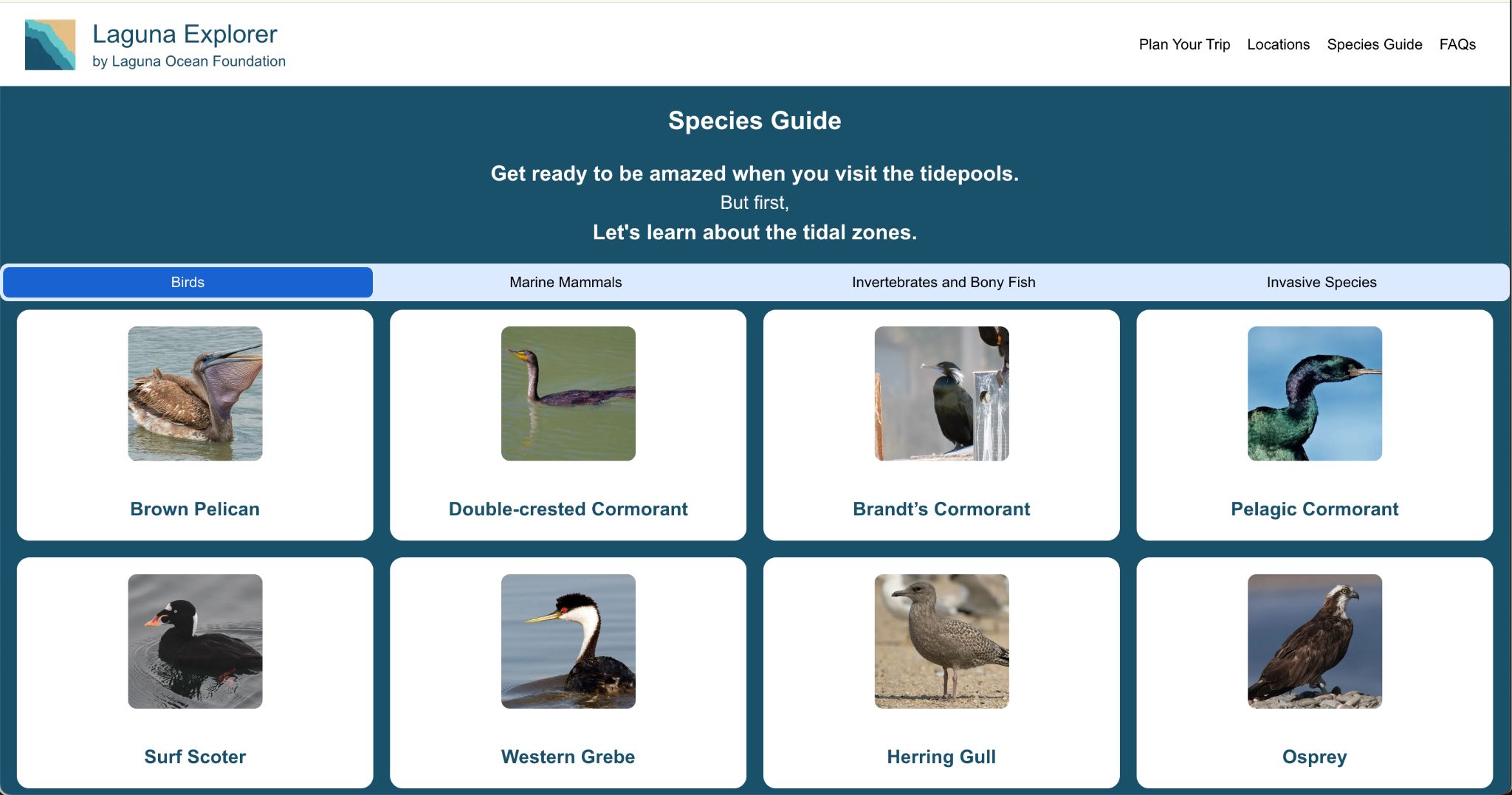 Old Laguna species guide screenshot
