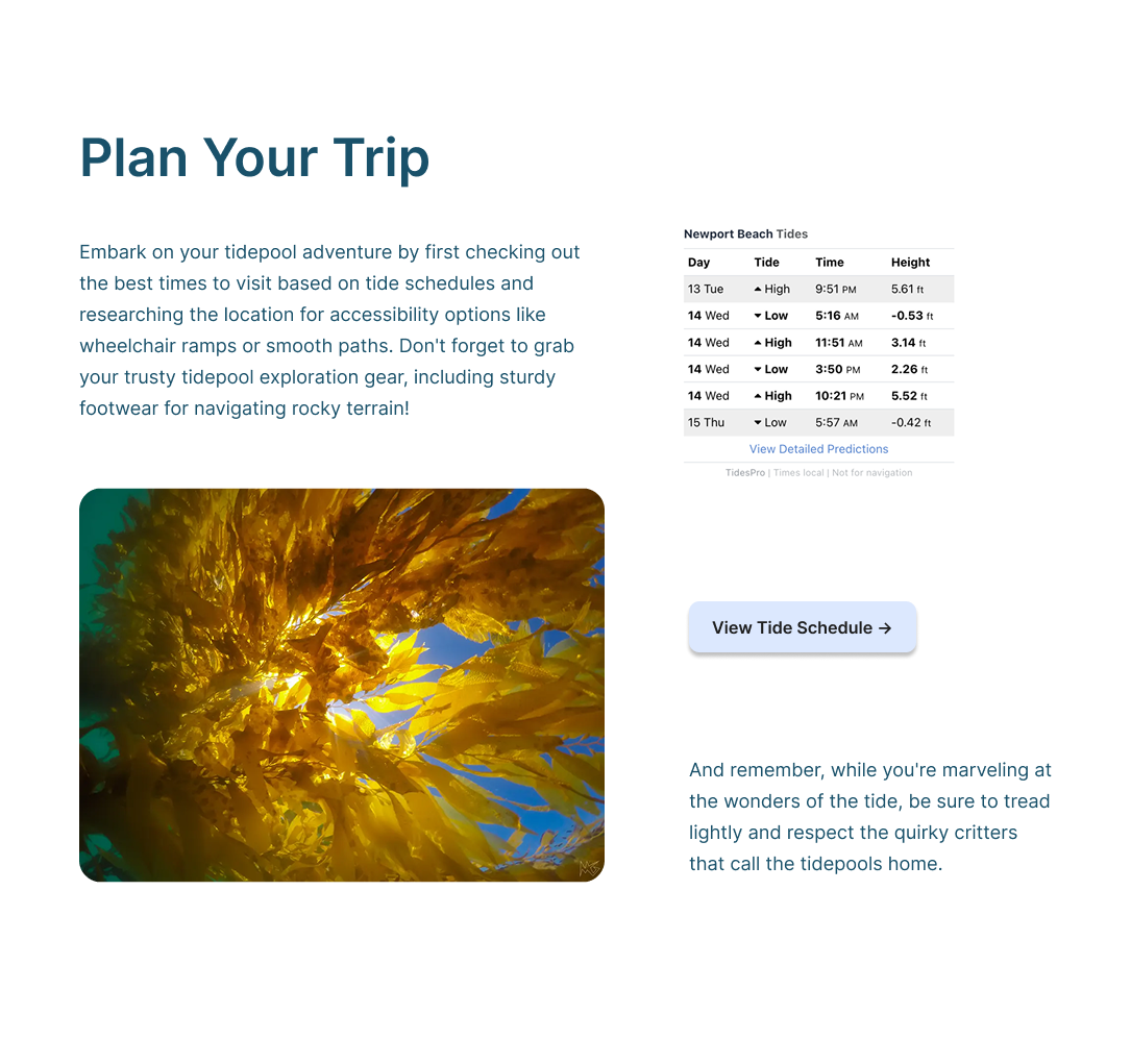 Plan Your Trip high fidelity screen
