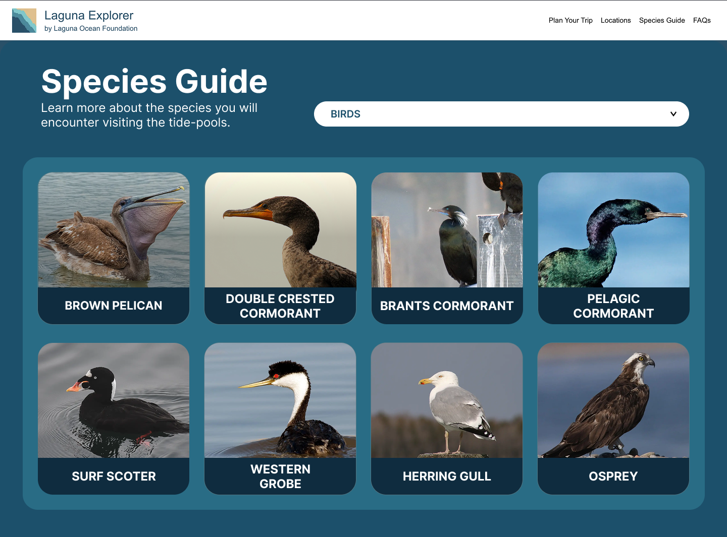 Species guide high fidelity screen one