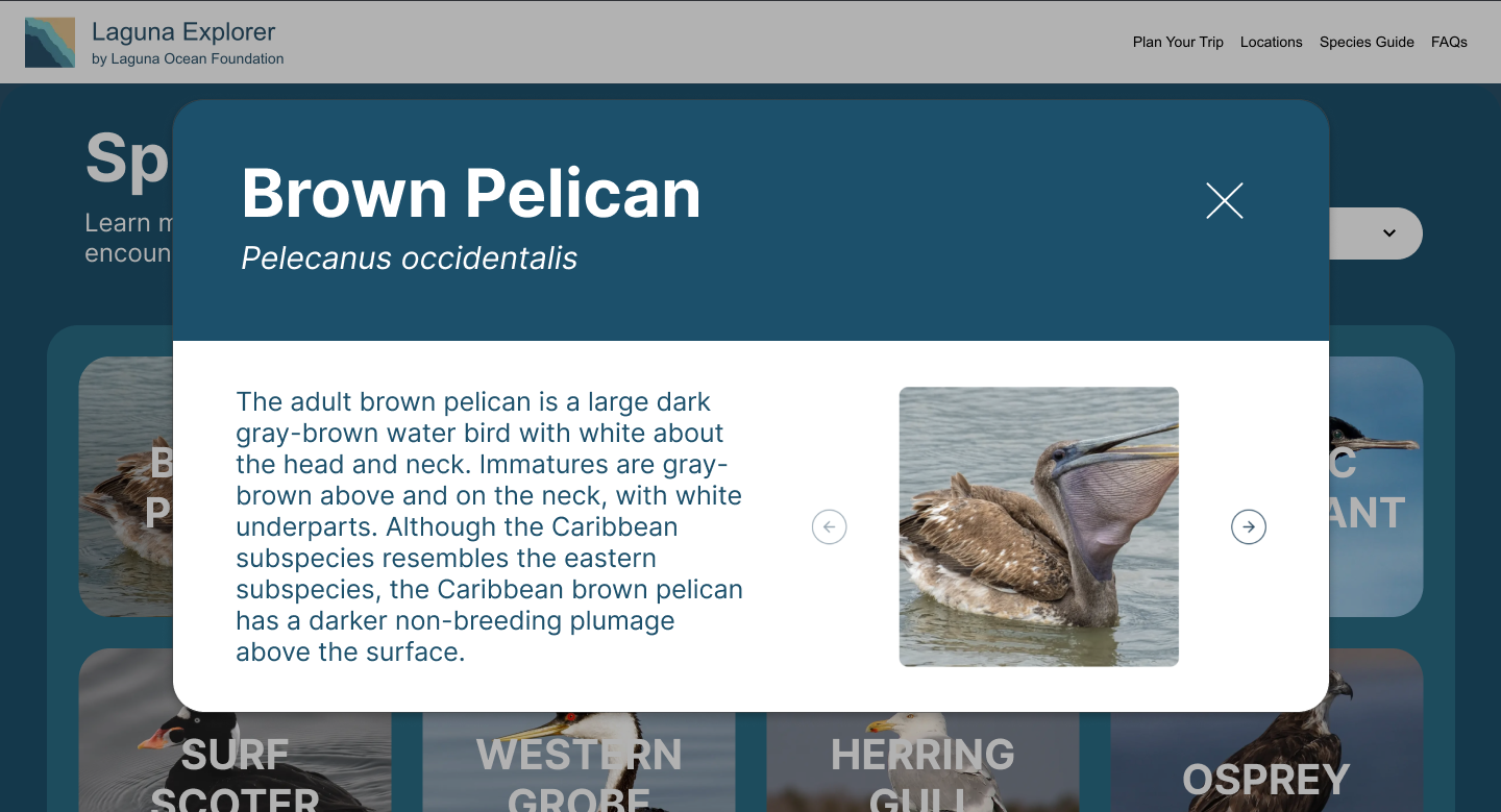 Species guide high fidelity screen three