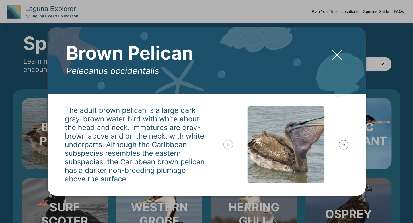 Species guide high fidelity screen four