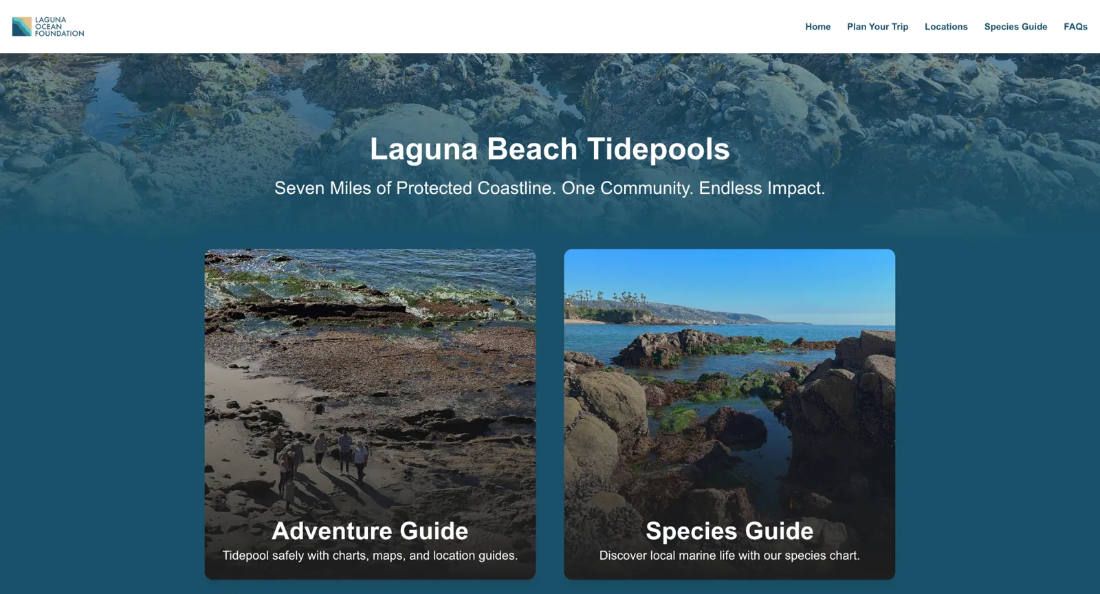 Final Laguna site, screen one