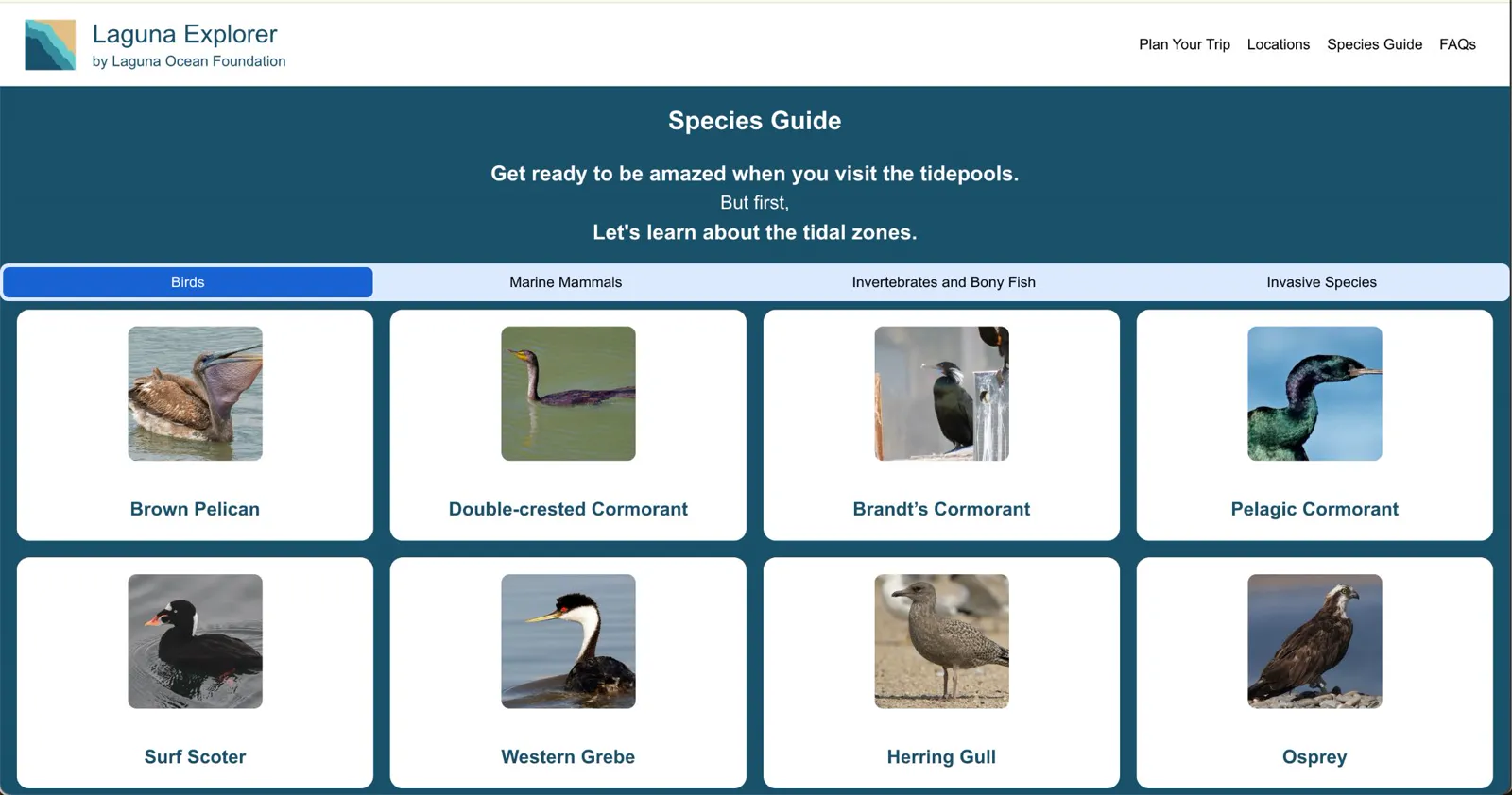 Original Laguna species guide