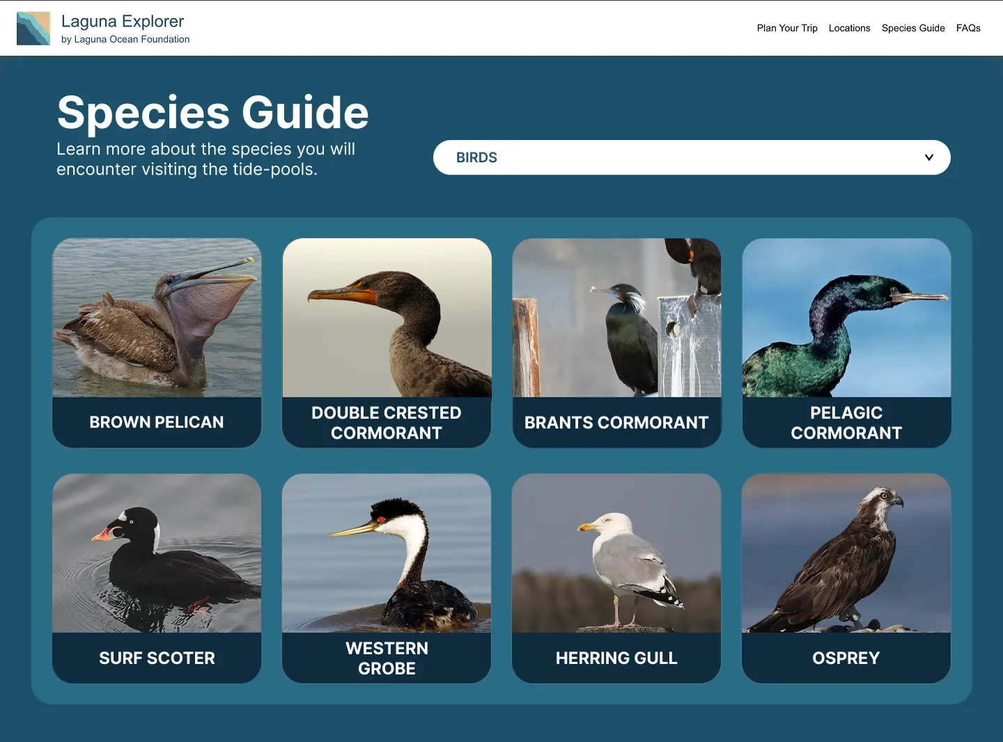 Species guide high-fidelity screen one