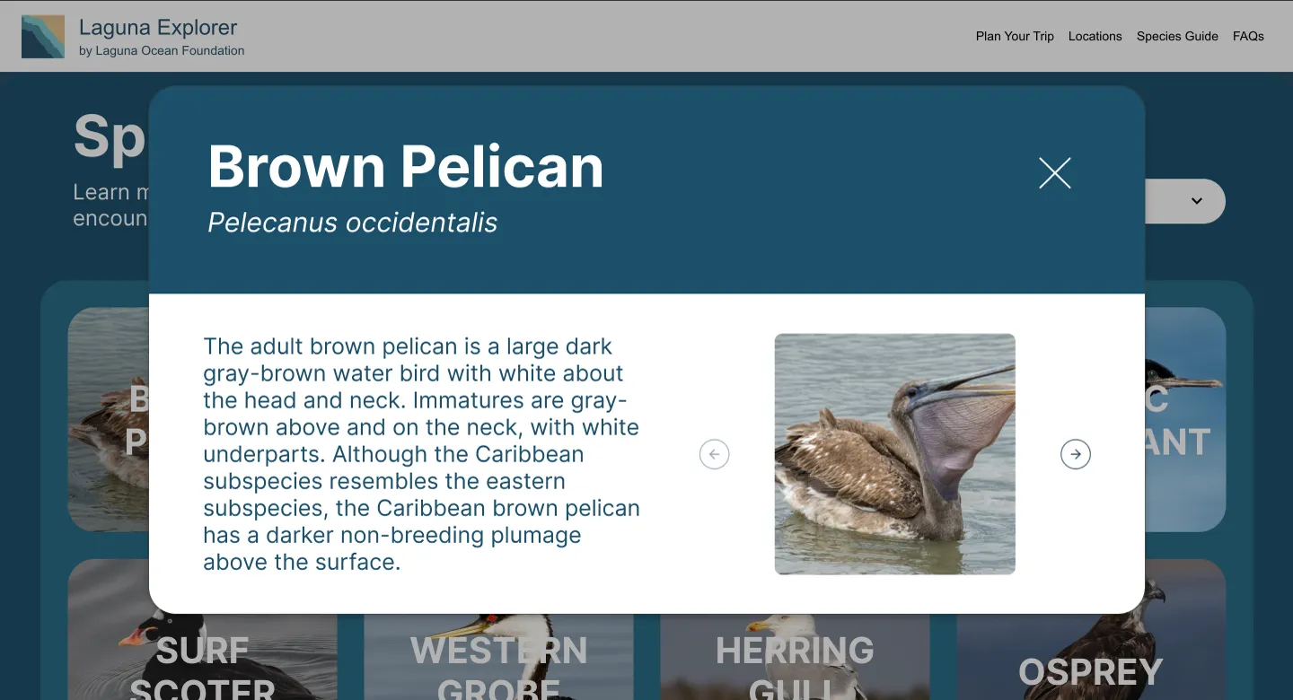 Species guide high-fidelity screen three